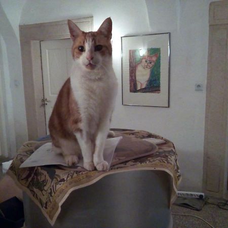Country House U Potoka Guest House Bozanov Bagian luar foto